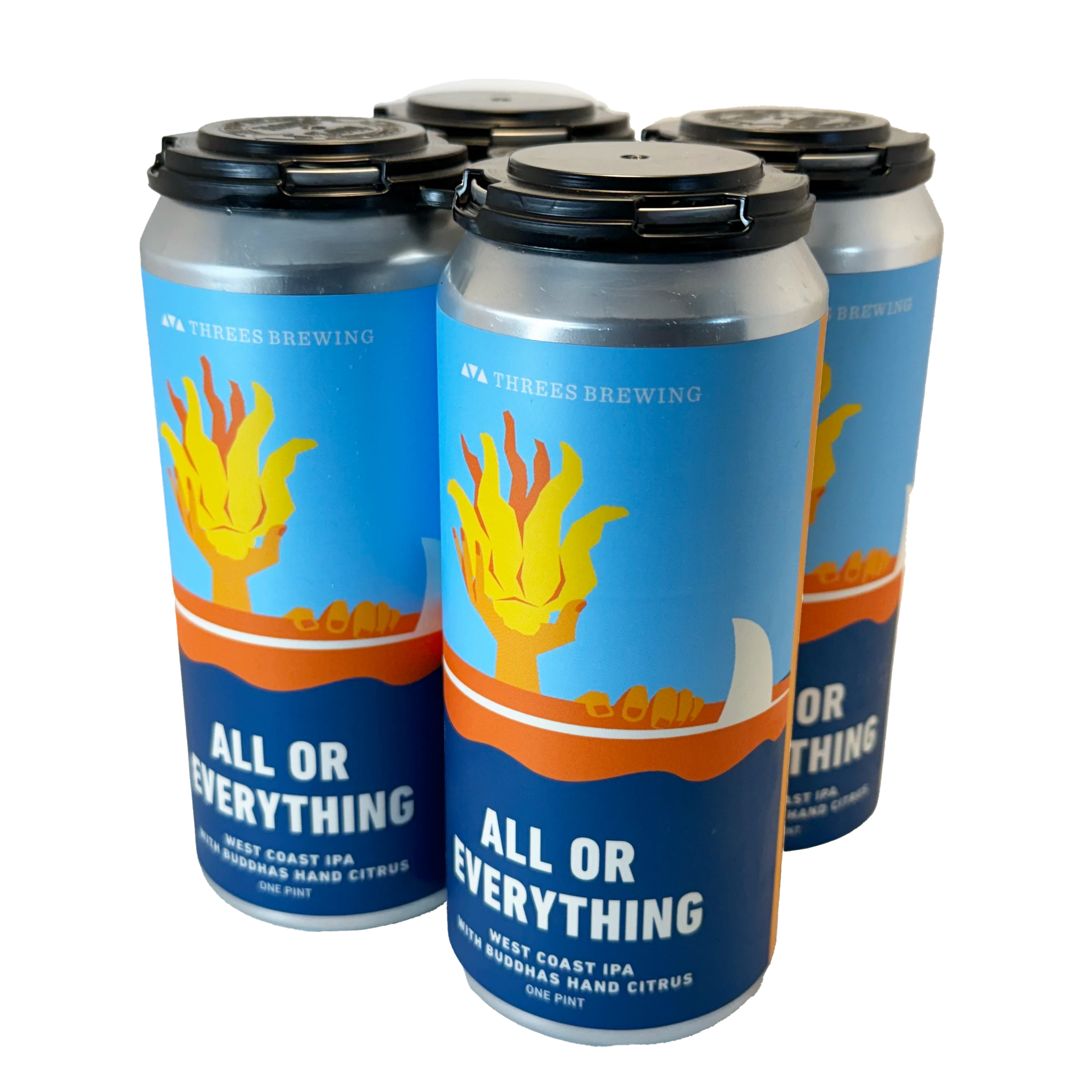 All Or Everything (West Coast IPA with Buddhas Hand Citrus) - Image 4