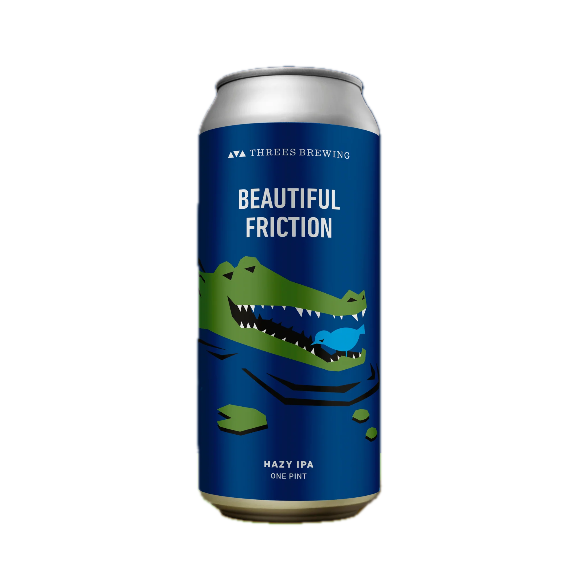 Beautiful Friction (Hazy IPA) - Image 2