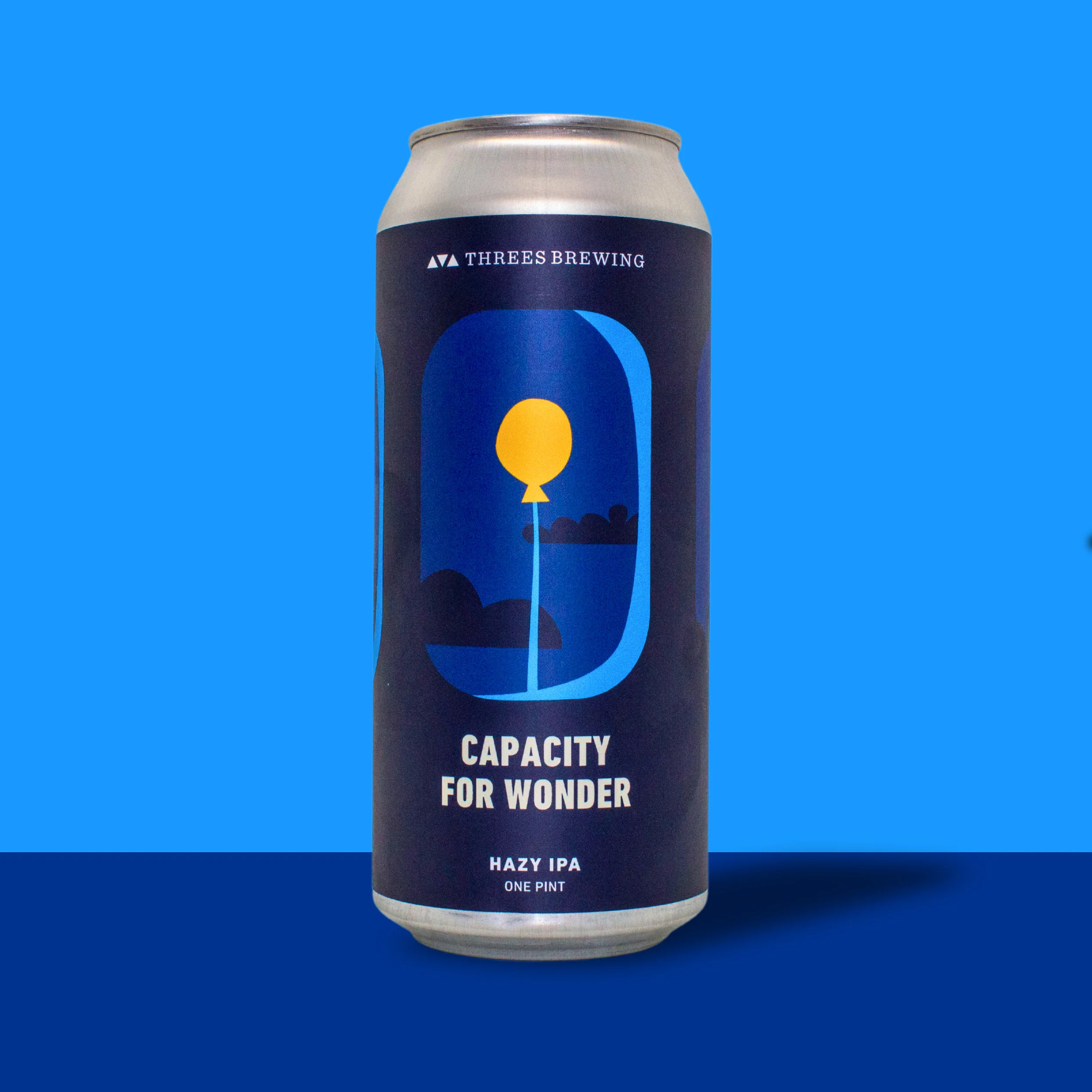 Capacity For Wonder (Hazy IPA)