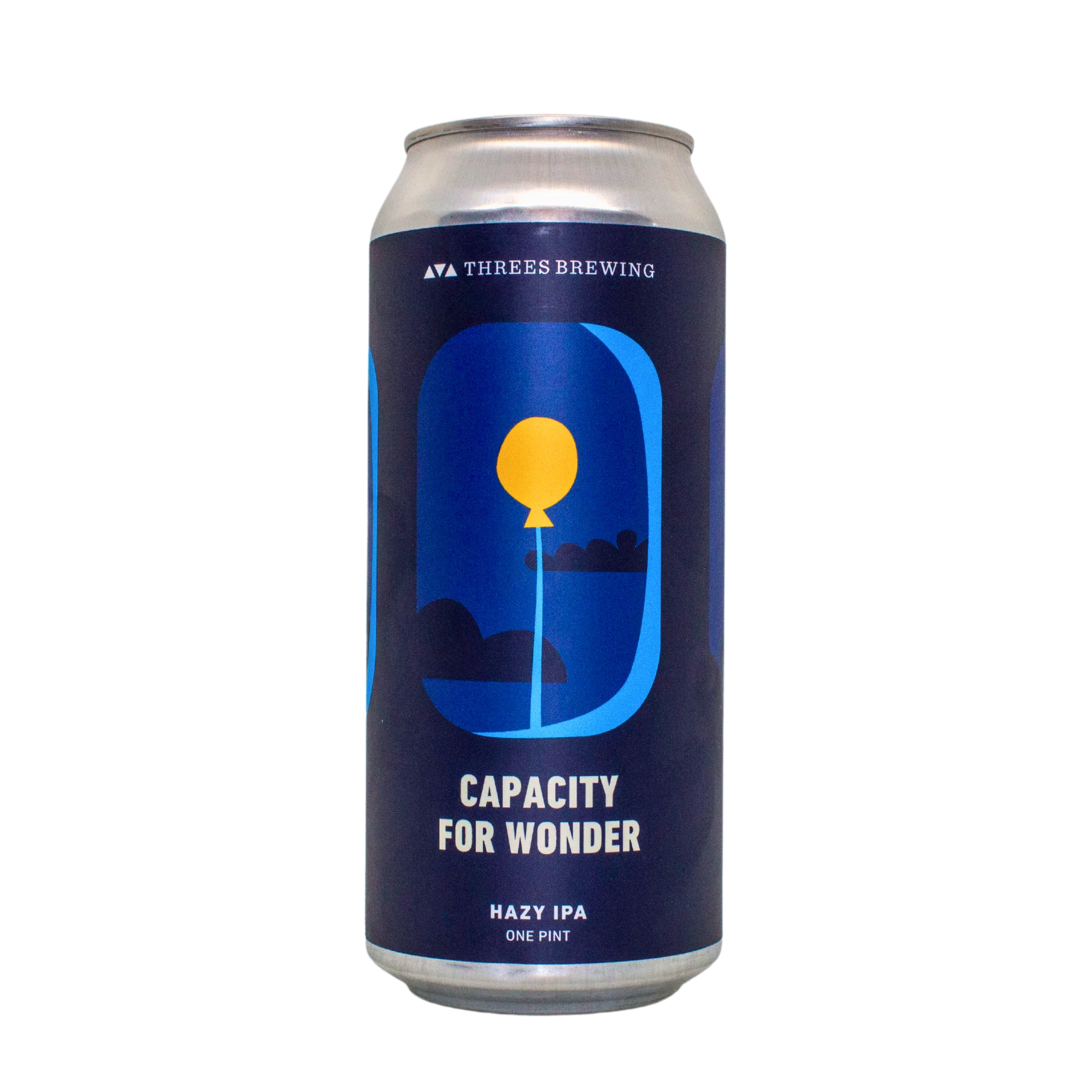 Capacity For Wonder (Hazy IPA) - Image 2