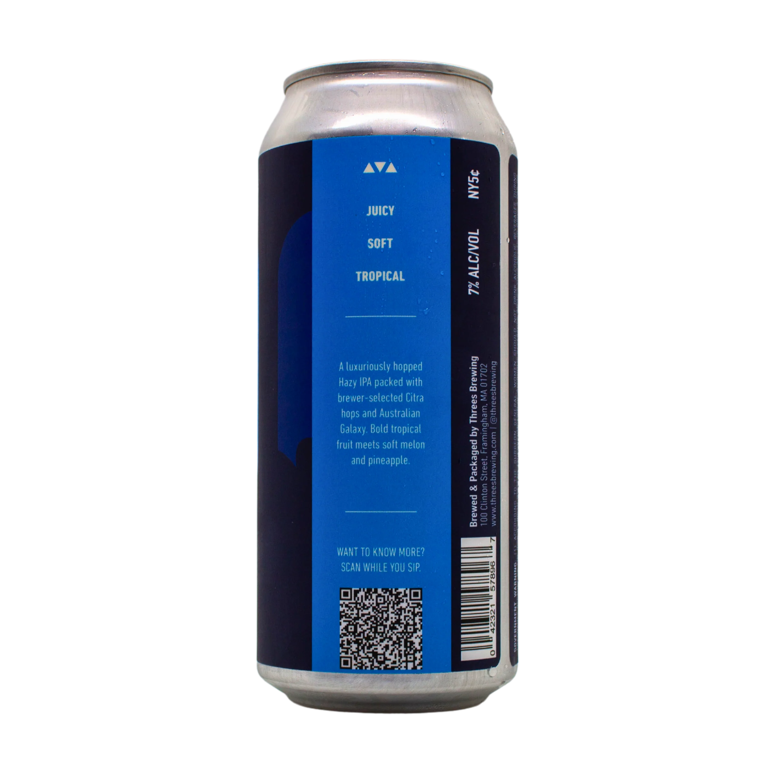 Capacity For Wonder (Hazy IPA) - Image 3