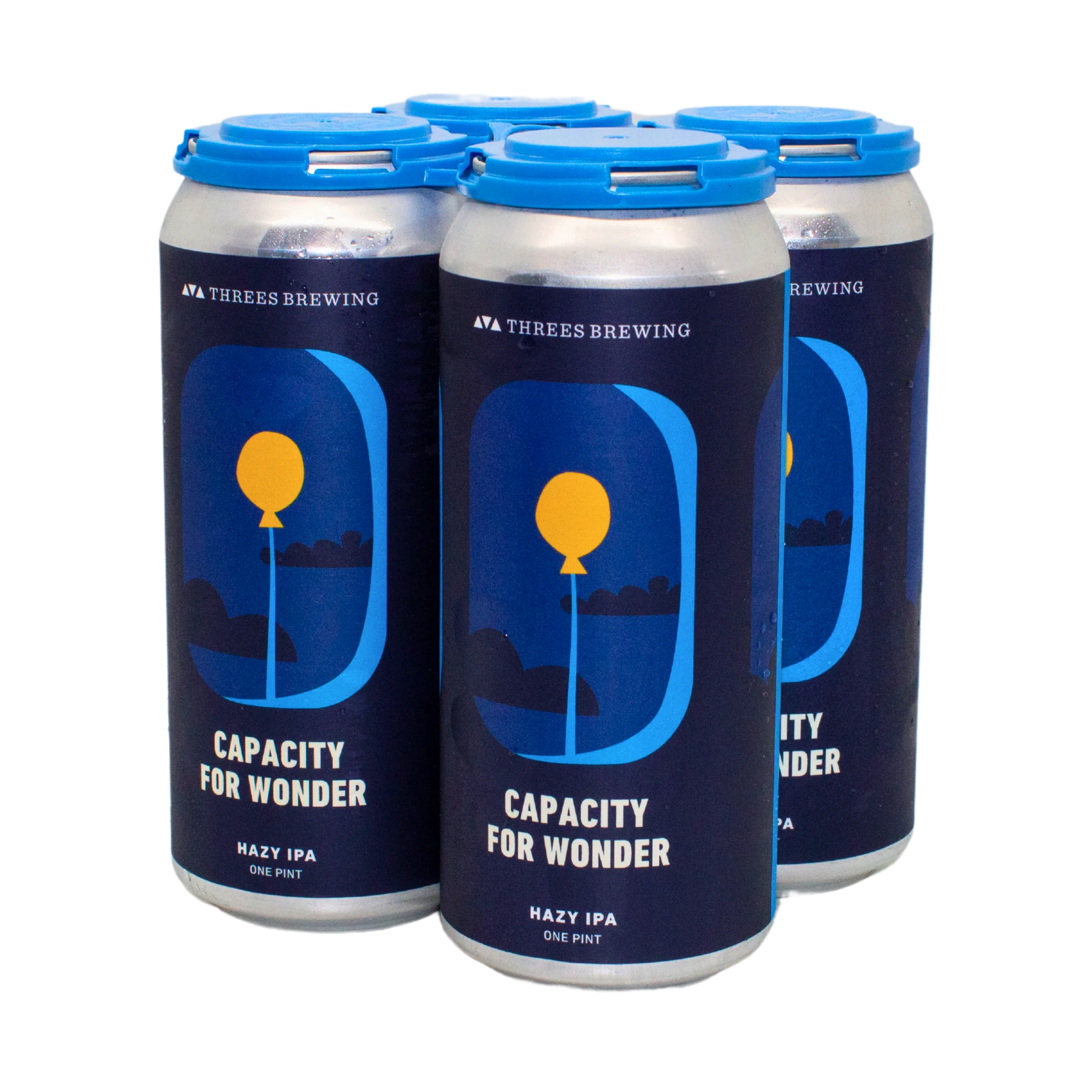 Capacity For Wonder (Hazy IPA) - Image 4