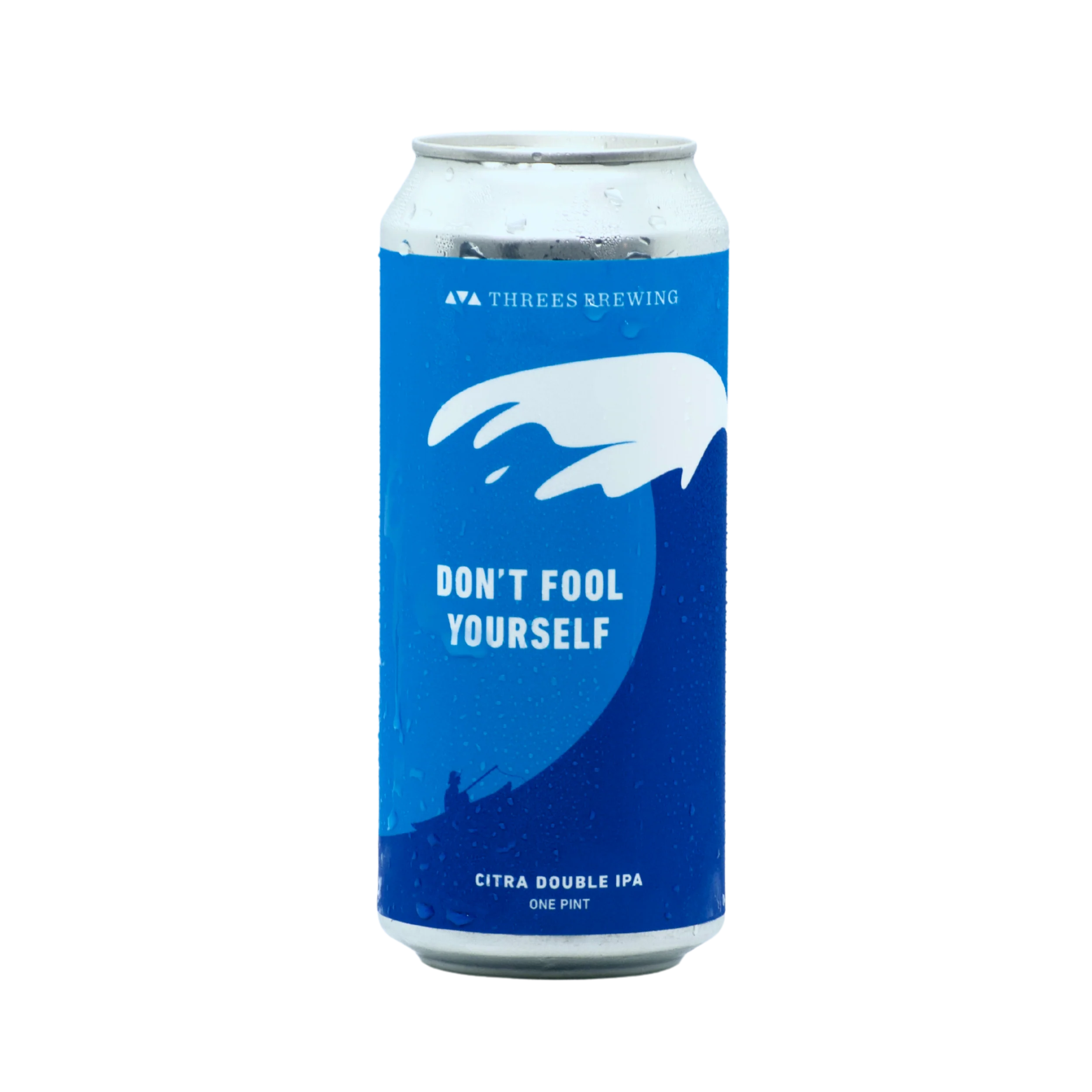 Don't Fool Yourself (Citra Double IPA) - Image 2