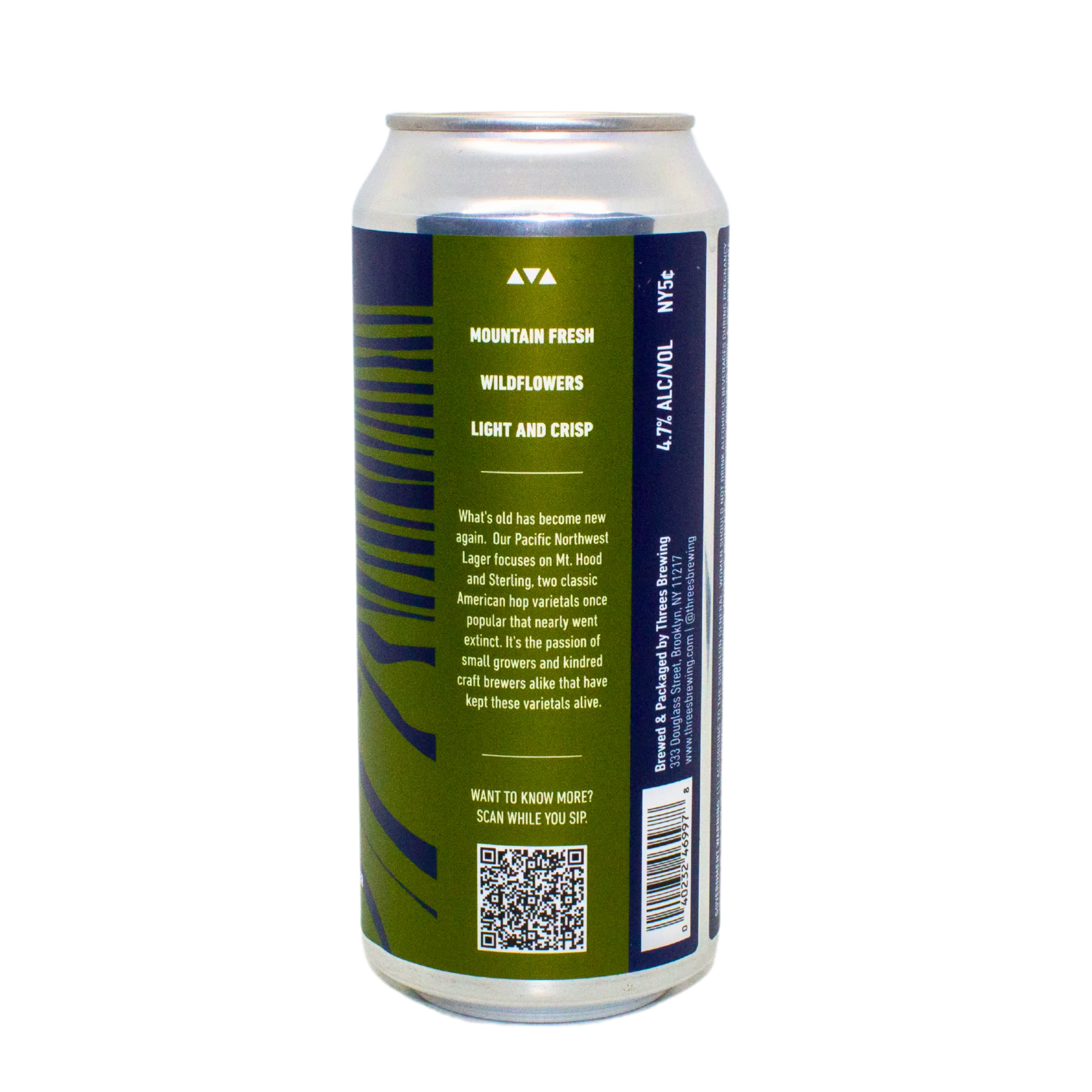 False Memory (Pacific Northwest Lager) - Image 2