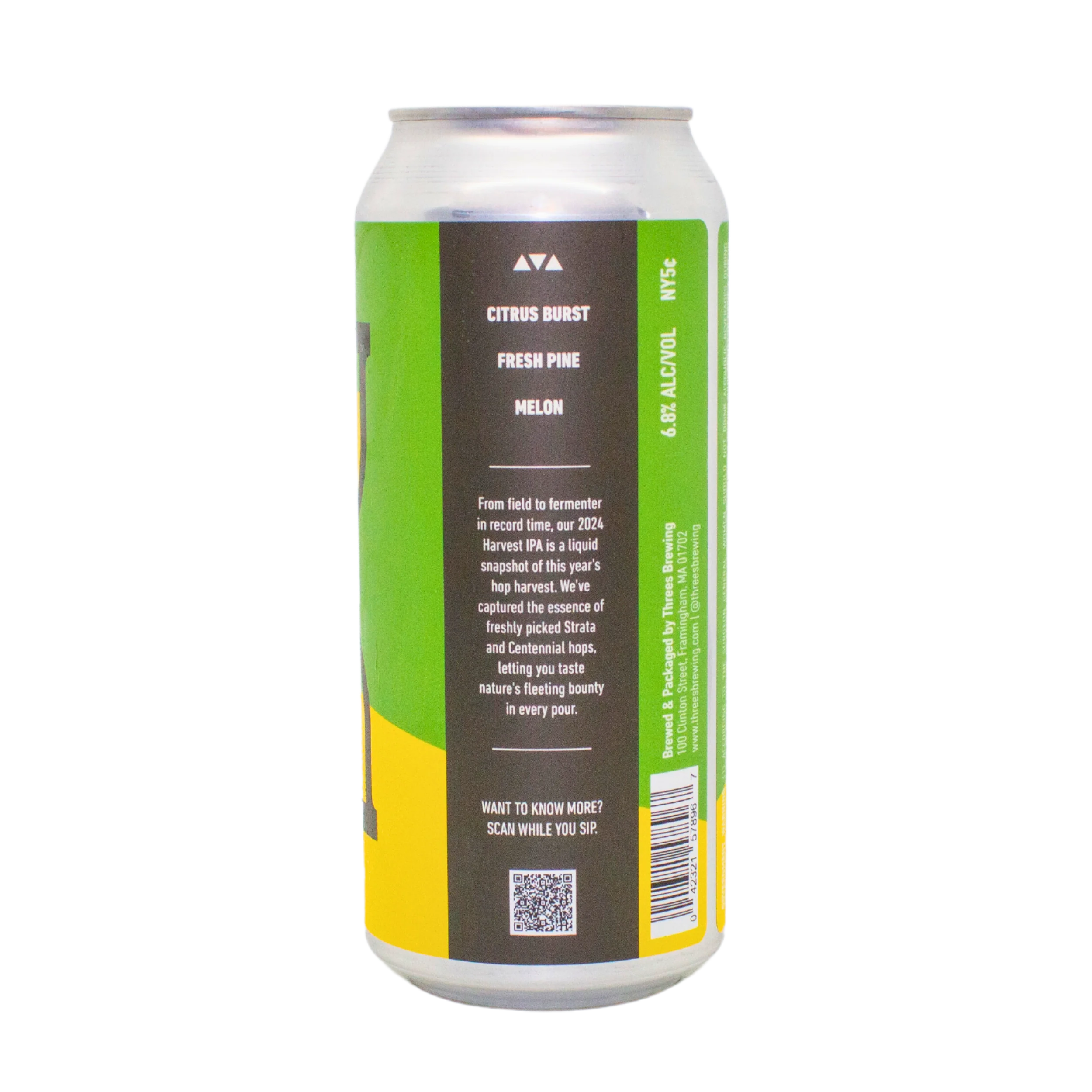 Flash In The Pan (2024 Hop Harvest IPA) - Image 2
