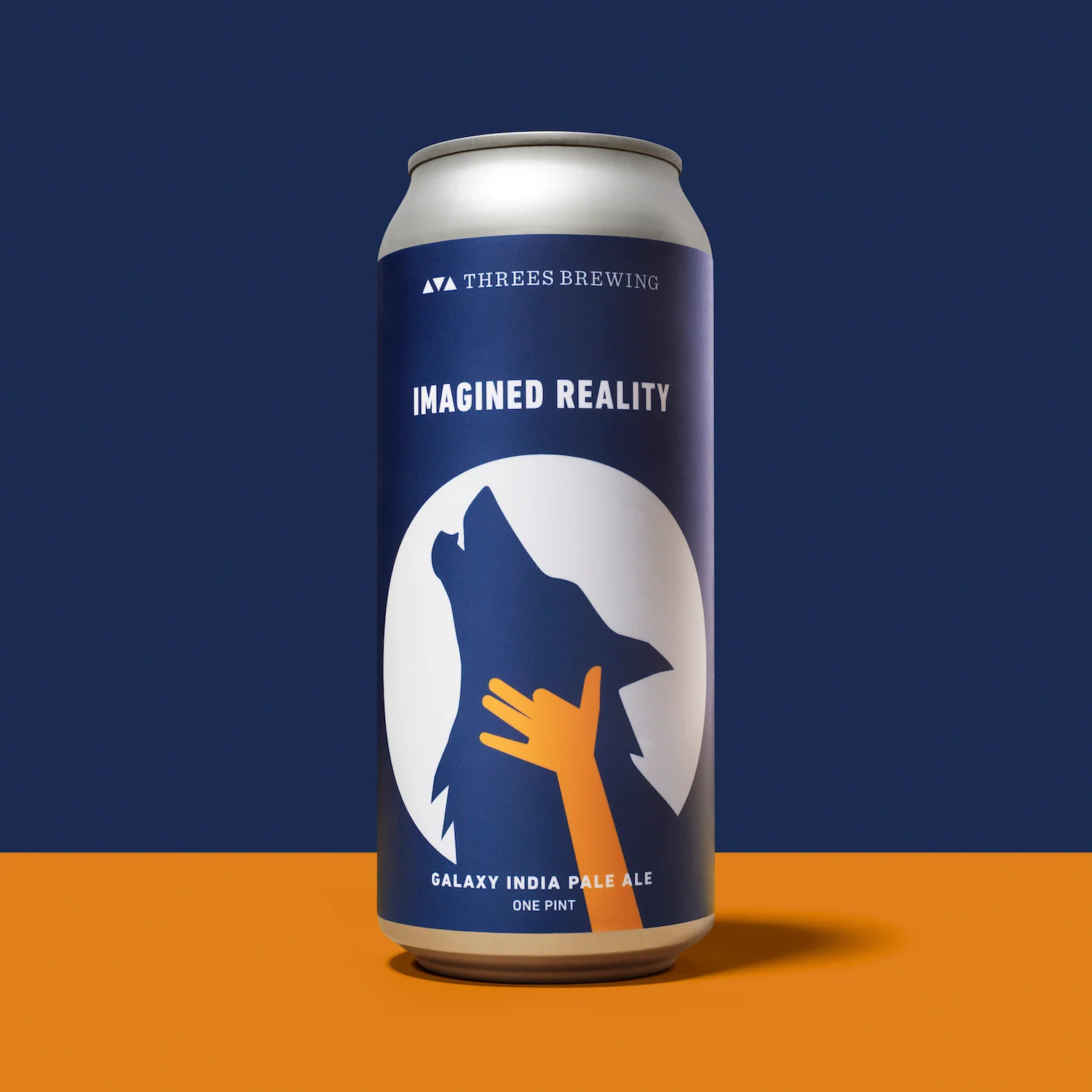 Imagined Reality (Galaxy IPA)