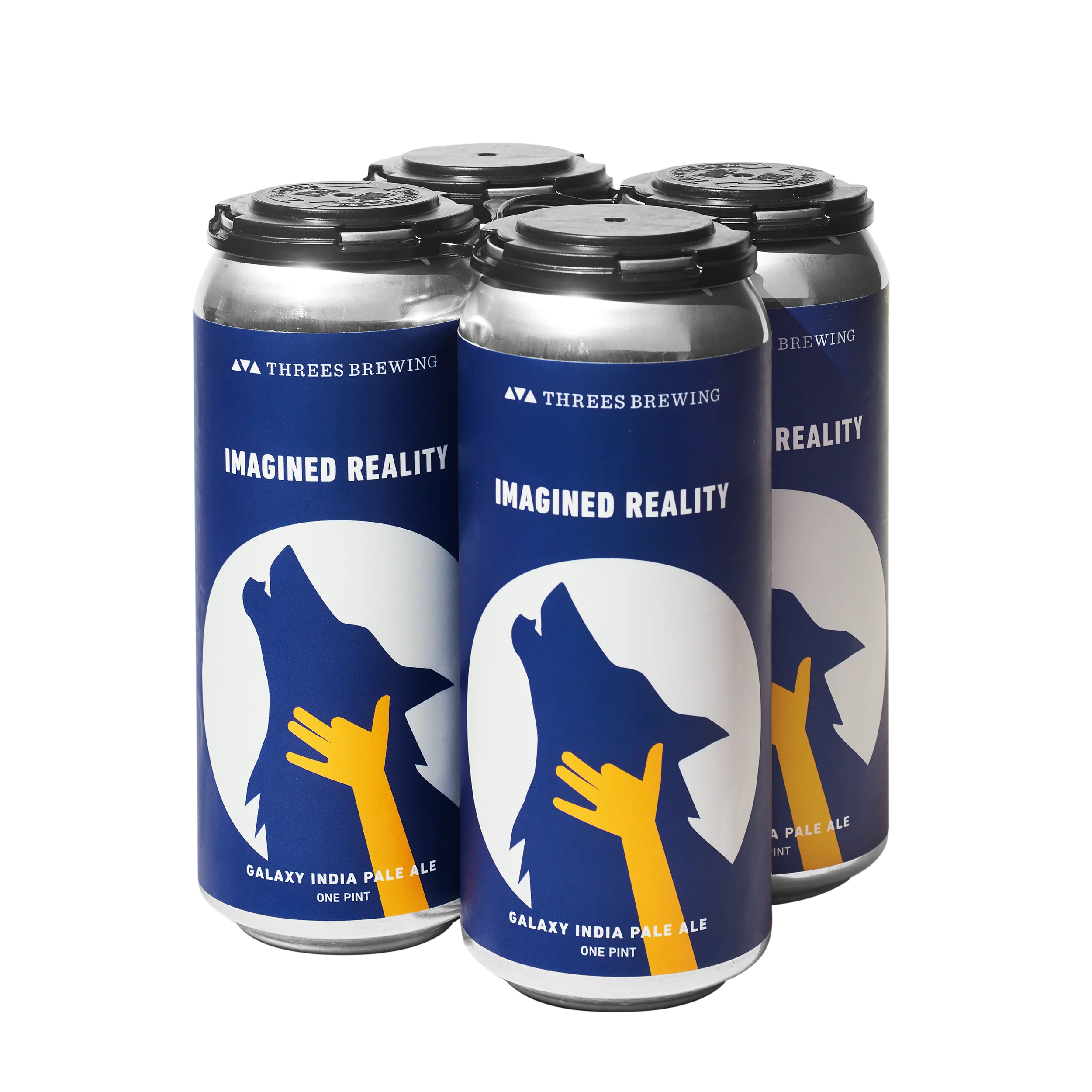 Imagined Reality (Galaxy IPA) - Image 3