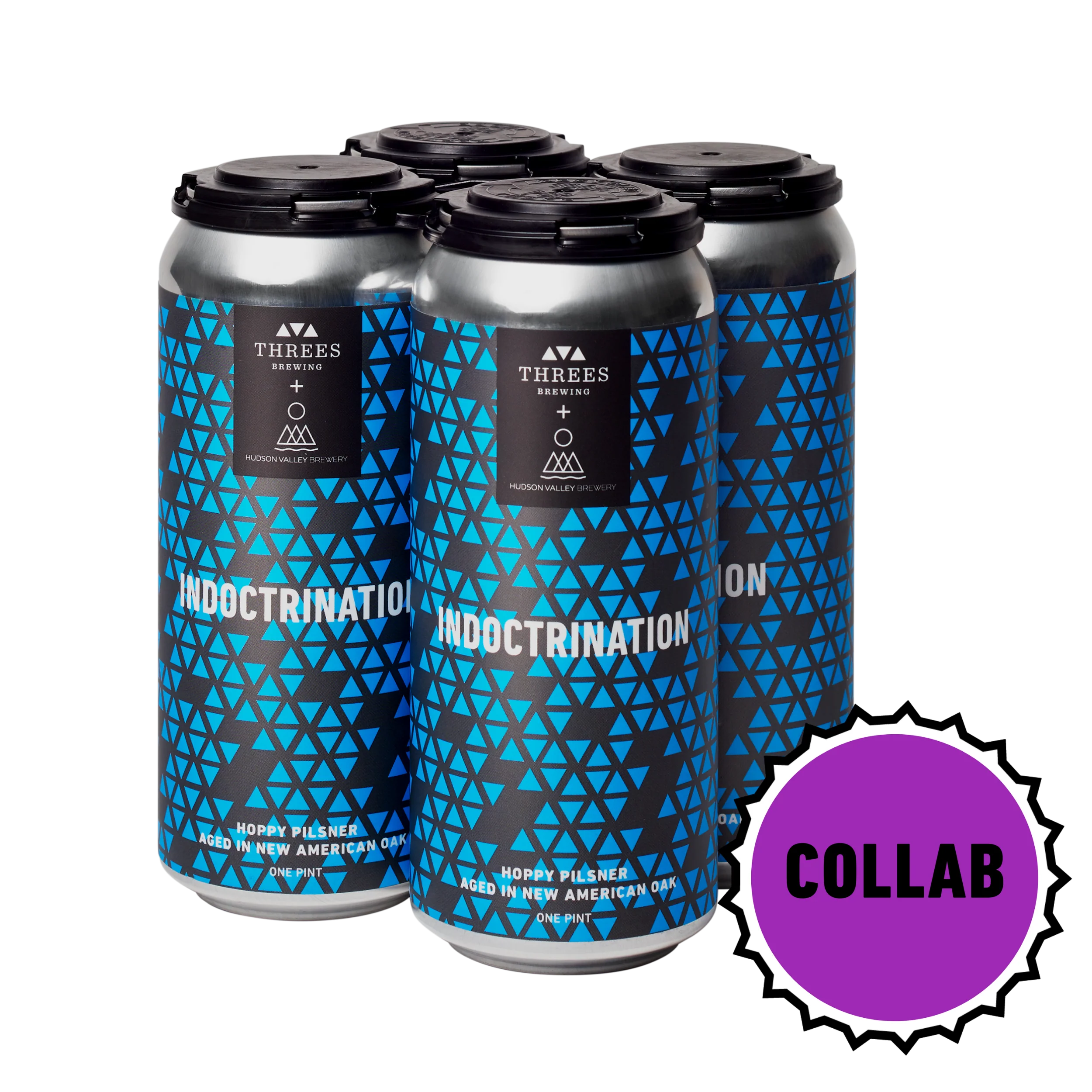 Indoctrination (Hoppy Pilsner) 4-Pack - Hudson Valley Collab - Image 3