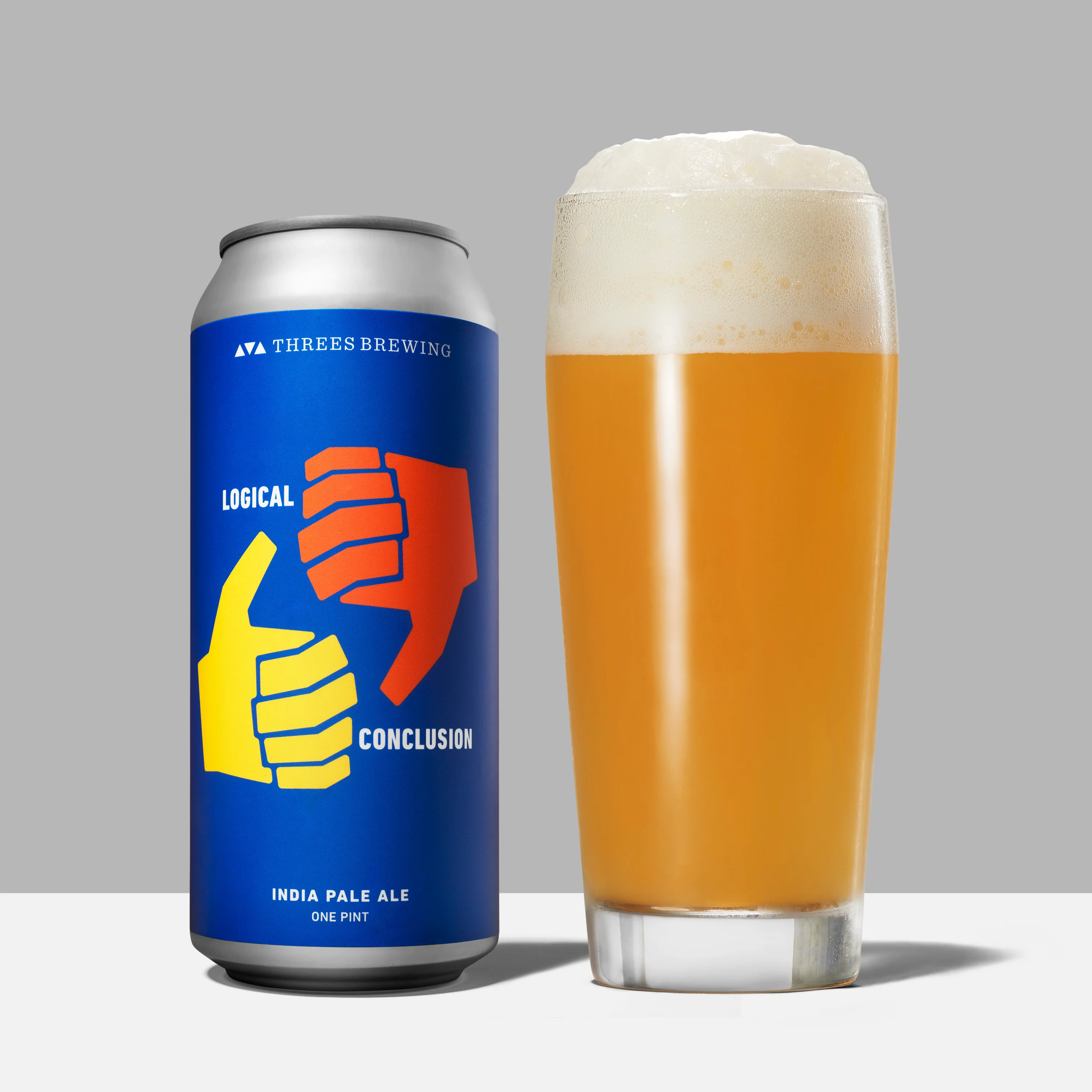 Logical Conclusion (Hazy IPA) - Image 5