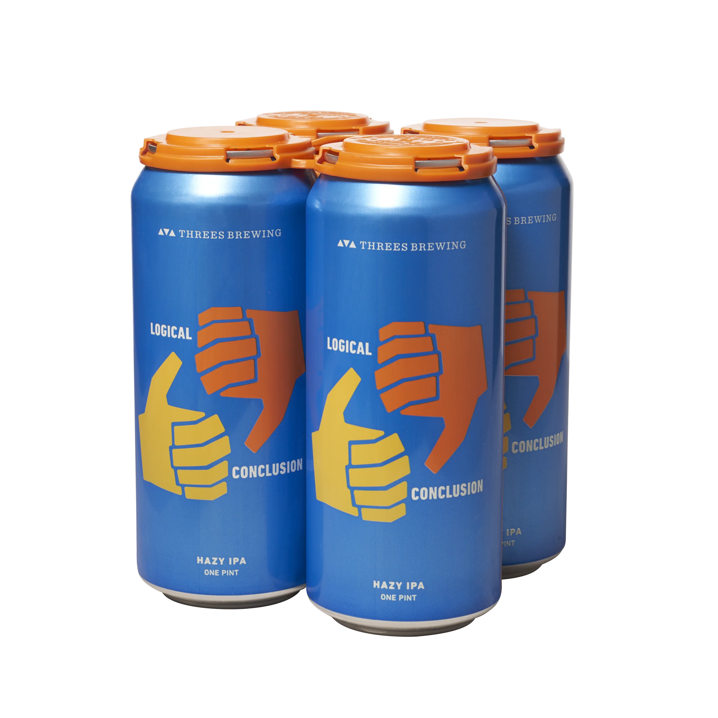 Logical Conclusion (Hazy IPA) - Image 7