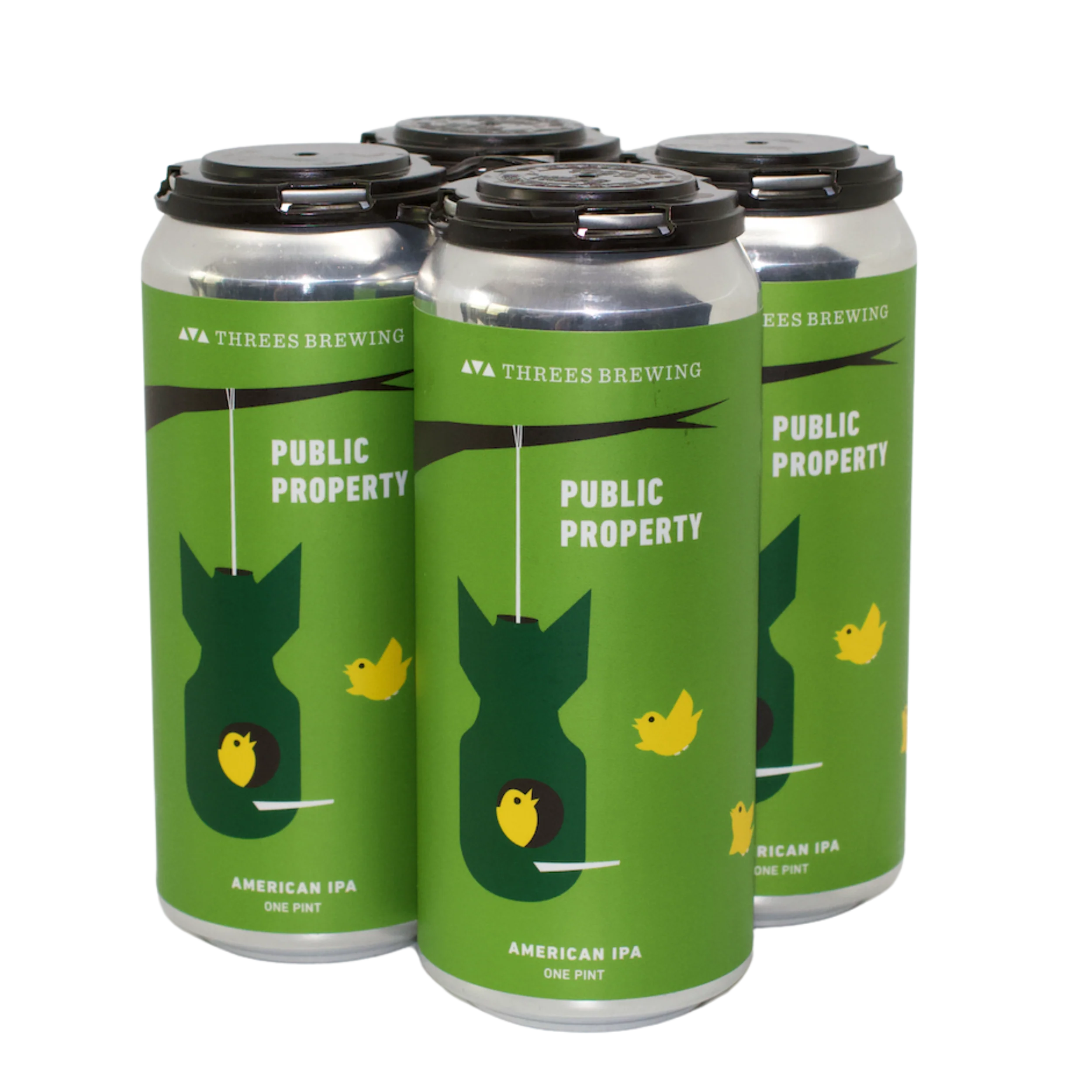 Public Property (American IPA) - Image 3