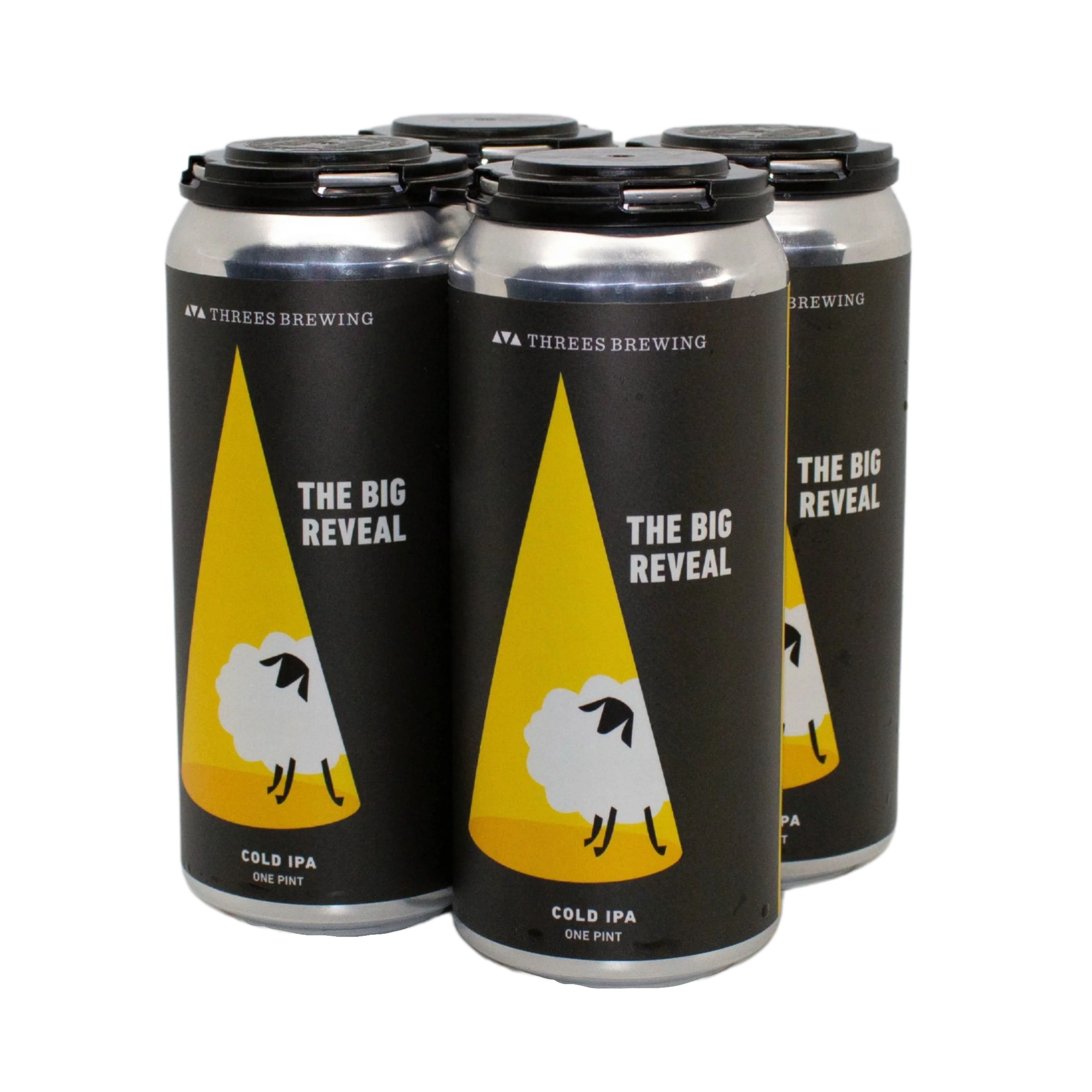 The Big Reveal (Cold IPA) - Image 4