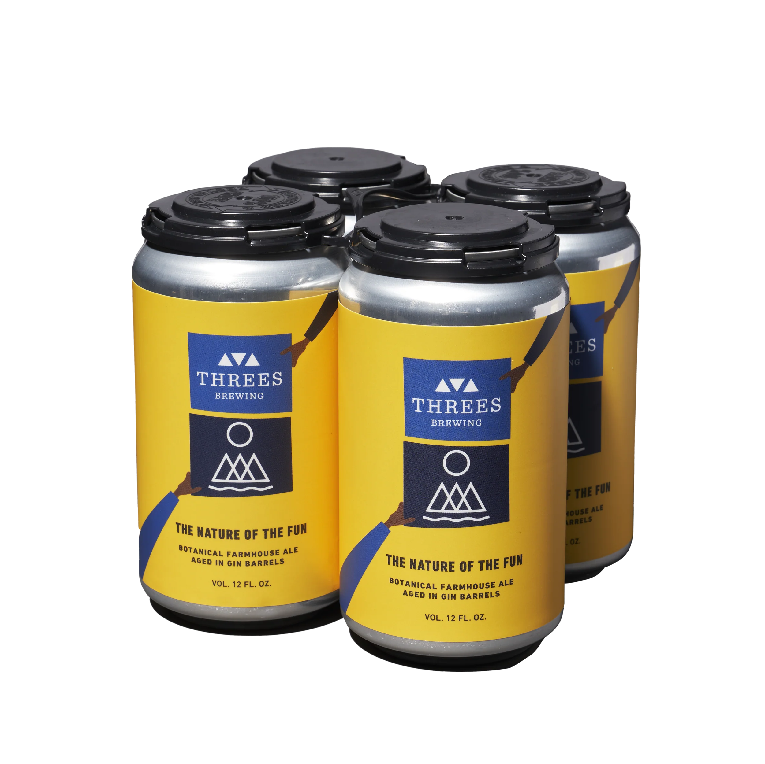 The Nature of the Fun (Botanical Farmhouse Ale Aged in Gin Barrels) - Collaboration with Hudson Valley Brewery - Image 3