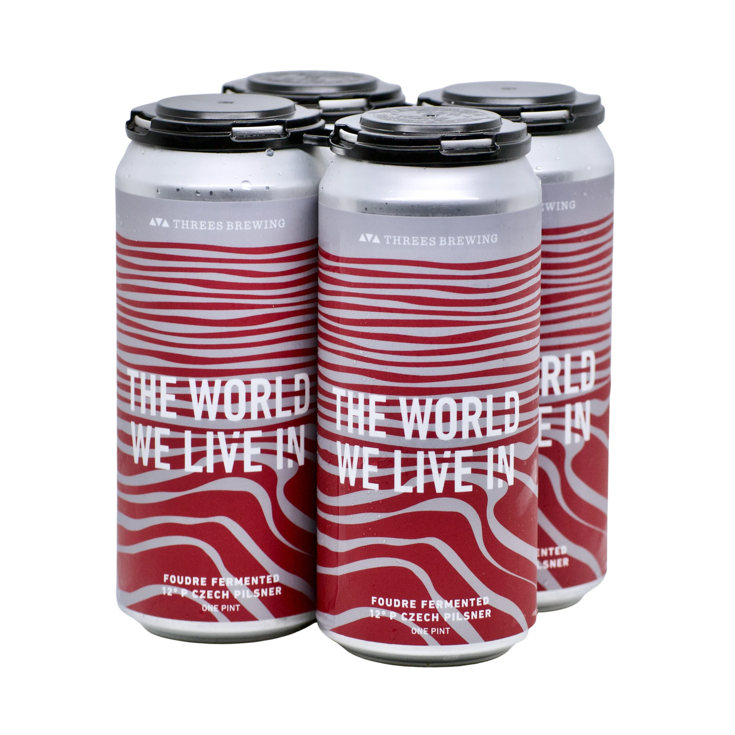 The World We Live In (Foeder Fermented 12º Czech Pilsner) - Image 3