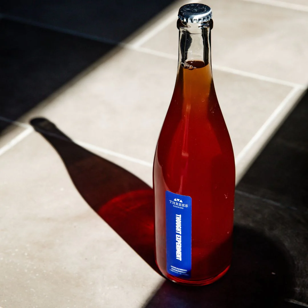 Thought Experiment Blueberry (Saison Ale) 750ml - Image 3